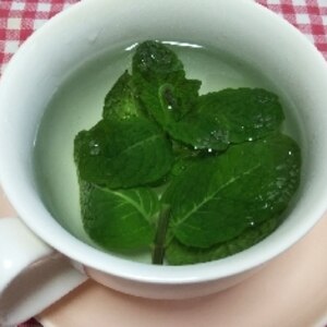 独居自炊 フレッシュミントティー レシピ 作り方 By ブッ子 楽天レシピ 独居自炊 フレッシュミントティー レシピ 作り方 By ブッ子 楽天レシピ